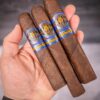 Essential Blend No. 4 box-pressed cigar shown as a sampler-led starting point from O.M. Cigars