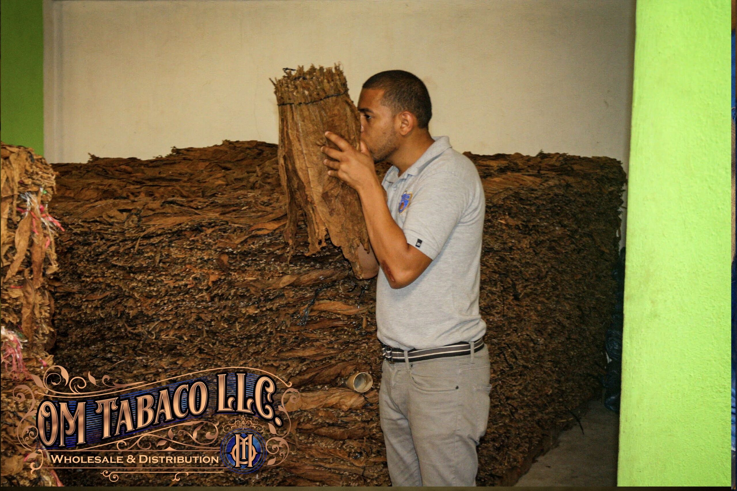 IMG 7744 visual for cigar comparison at O.M. Cigars