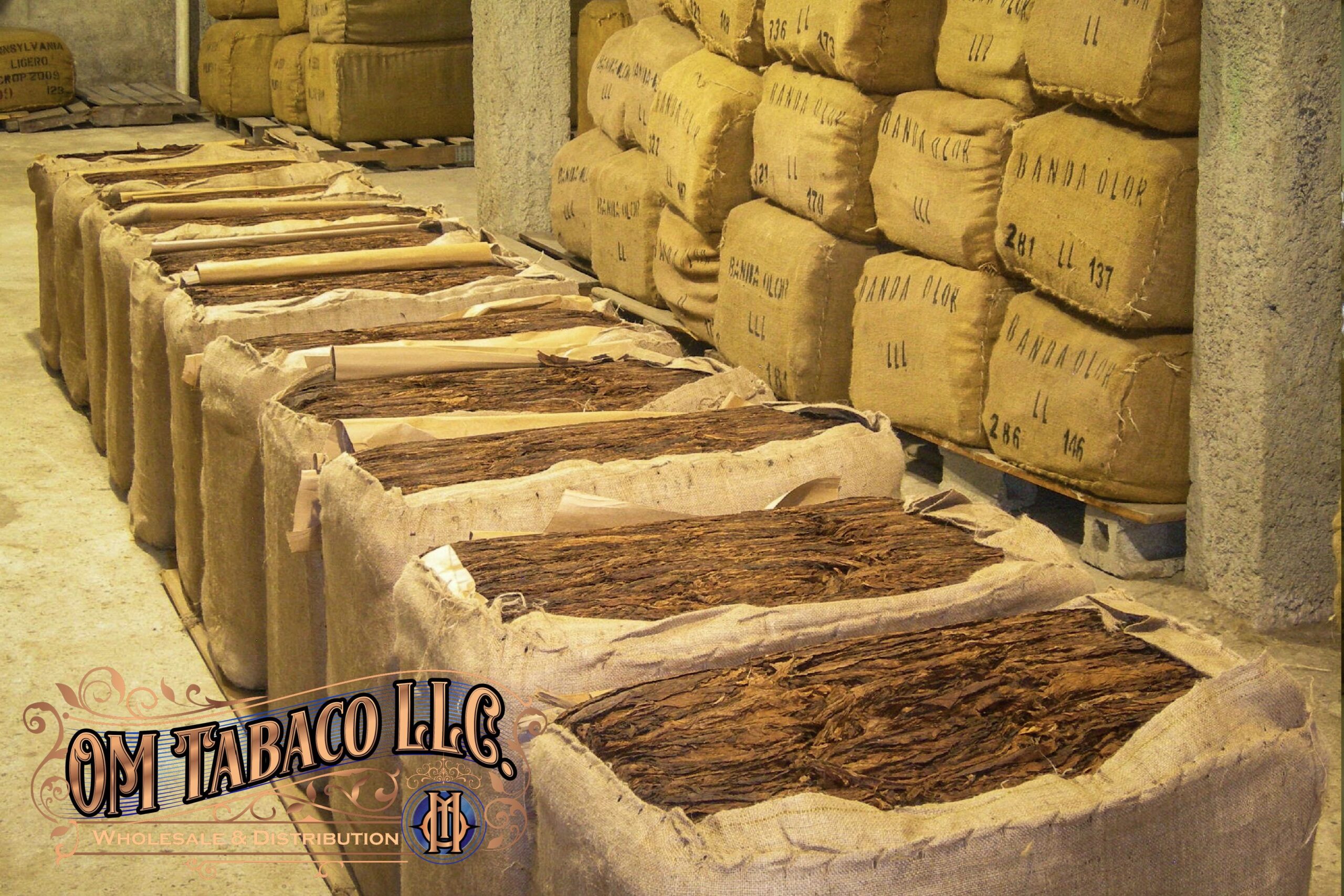 IMG 7748 shown in an O.M. Cigars image