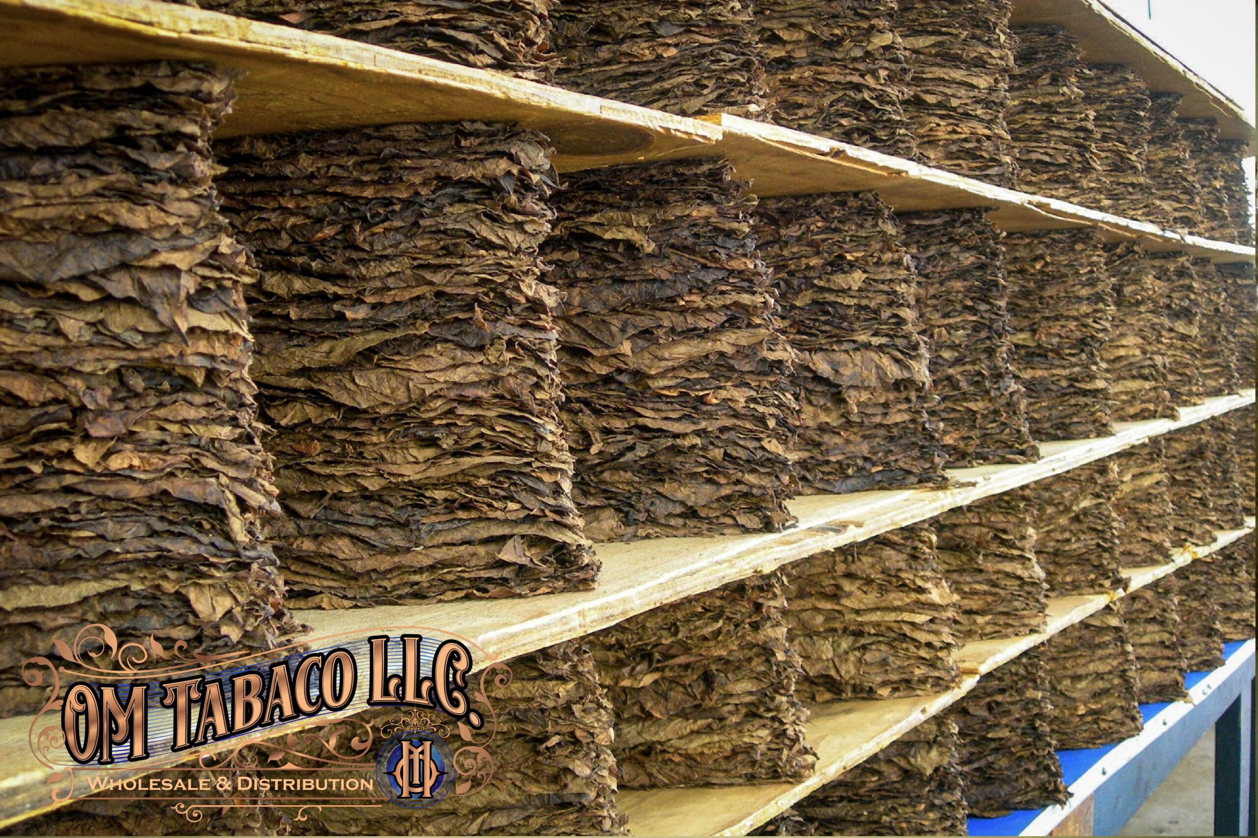IMG 7750 image aligned with the O.M. cigars selection