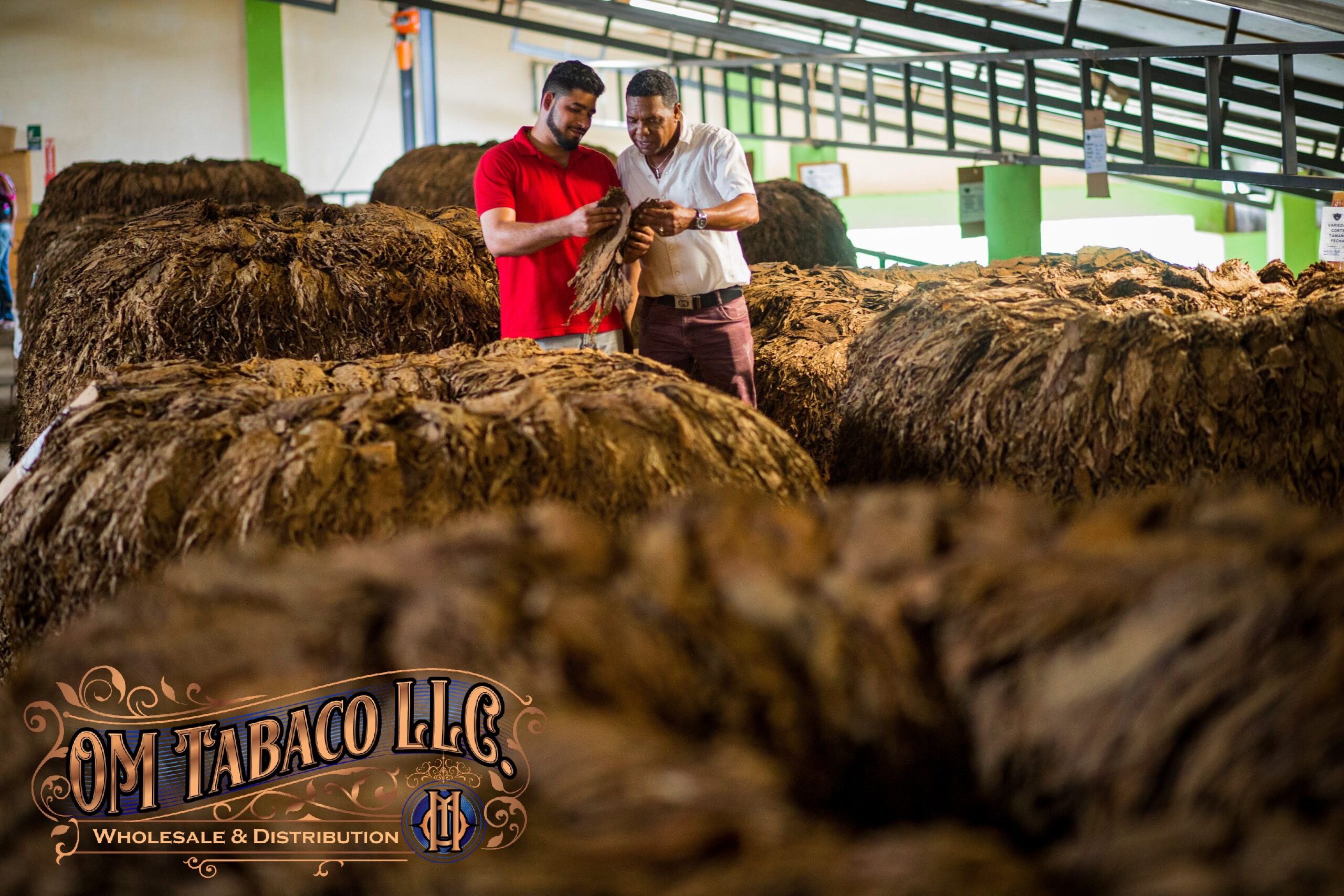 IMG 7755 shown in an O.M. Cigars image
