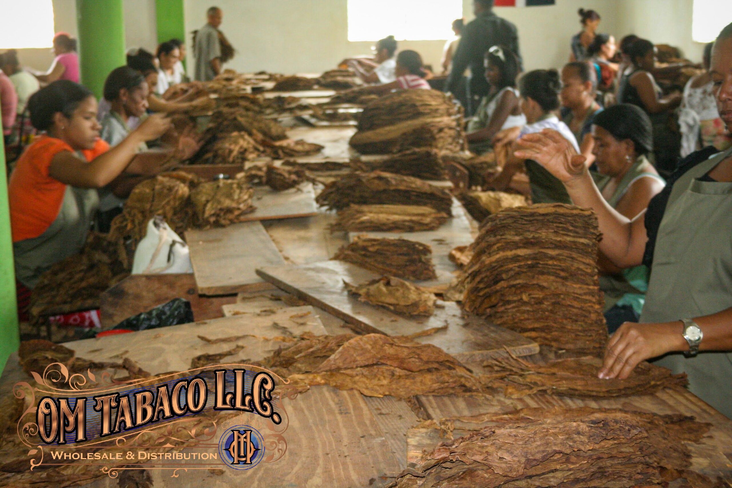 IMG 7768 shown in an O.M. Cigars image