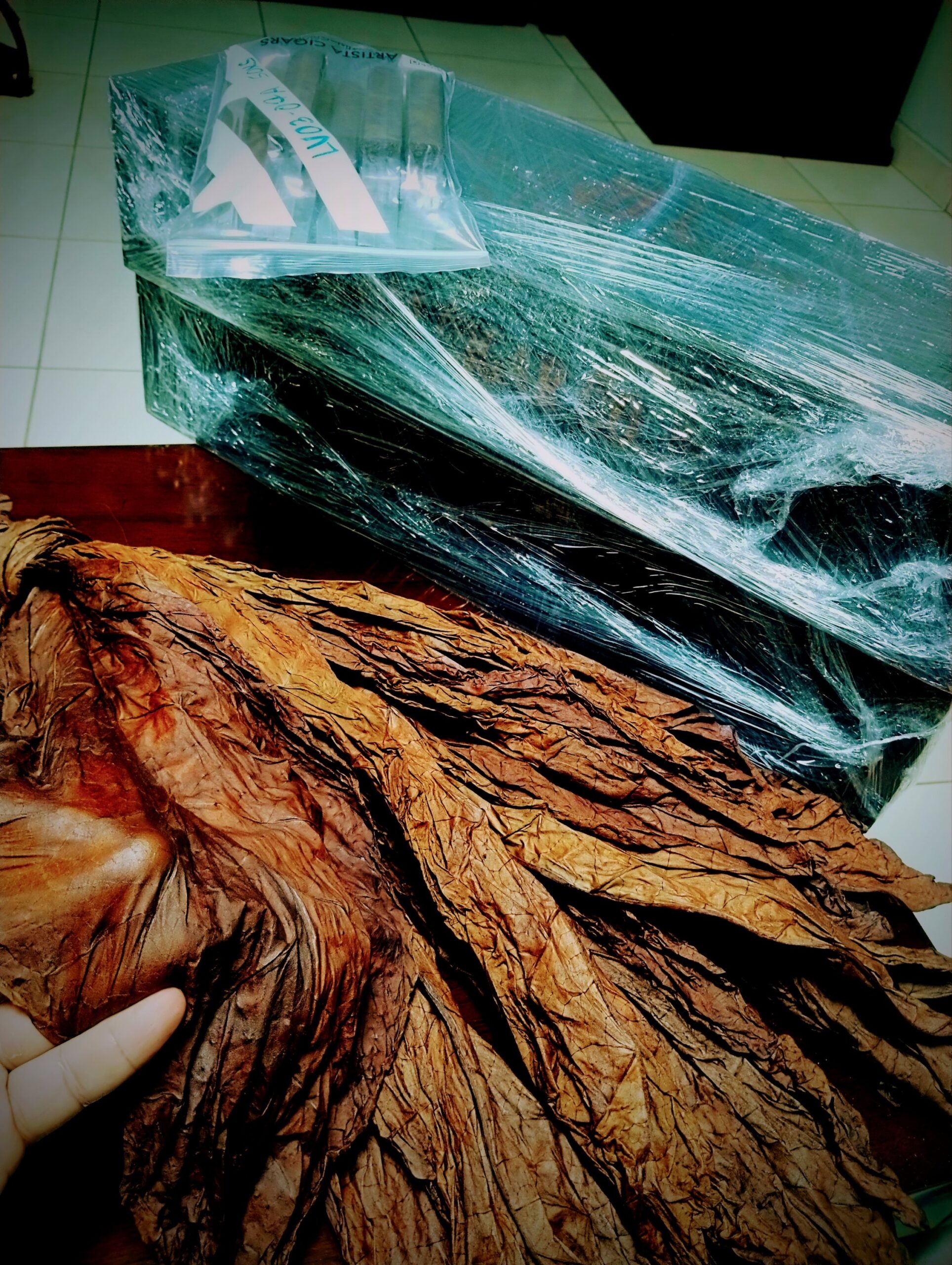 2025/05/1000050437 scaled | O.M. Cigars 2025/05/1000050437 scaled shown in an O.M. Cigars image